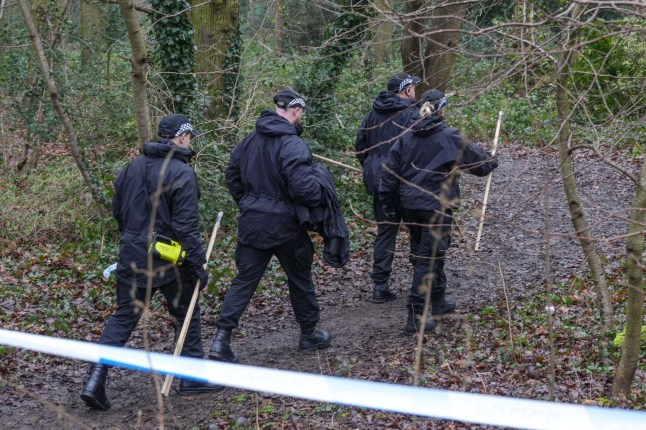 Alamy Live News. 2SJ8YAT Moorend Avenue, Chelmsley Wood, Solihull 11th February 2025: West Midlands Police have cordoned off Alcott Woods in the Chelmsley Wood area of Solihull after a woman was raped by 2 men on Monday morning. A forensics officer was seen taking pictures and placing items into evidence bags inside the wooded area that is surrounded by residential streets. Several police vehicles were parked along Moorend Avenue on Tuesday 11 February morning. An inner cordon was placed in the centre of the woodland with police officers and PCSO’s guarding the crime scene. Officers had first attended on Monday aftern This is an Alamy Live News image and may not be part of your current Alamy deal . If you are unsure, please contact our sales team to check. dqxikeidqkikdinv
