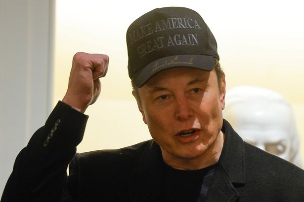 The CEO of SpaceX dqxikeidqkikdinv